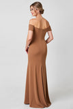 Brown Sheath Maxi Mother of the Bride Dress with Appliques