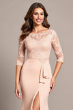 Blush Mermaid Maxi Mother of the Bride Dress with Appliques