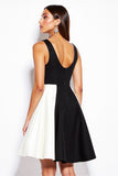 Short Black and White Patchwork V-Neck A Line Cocktail Dress