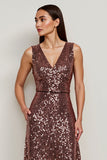 Sparkly Coffee Sequin V-Neck Maxi A Line Holiday Party Dress