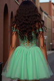 Light Green A Line Tulle Corset Short Prom Dress with Appliques