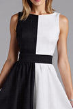 Black and White Patchwork Scoop Chiffon A Line Midi Cocktail Dress