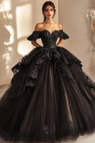 Black Ball Gown Maxi Princess Ruffled Quinceanera Dress with Appliques