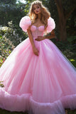 Sparkly Pink Ball Gown Princess Corset Glitter Maxi Quinceanera Dress with Sleeves