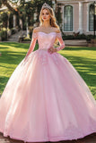 Pink Ball Gown Appliqued Maxi Quinceanera Dress