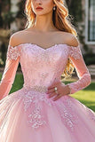 Pink Ball Gown Appliqued Maxi Quinceanera Dress