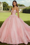 Pink Sweetheart Ball Gown Princess Maxi Quinceanera Dress with Appliques