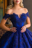 Royal Blue Ball Gown Long Appliqued Princess Quinceanera Dress