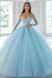 Sky Blue Ball Gown Long Sleeves Appliqued Quinceanera Dress