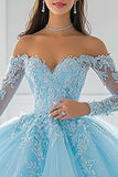 Sky Blue Ball Gown Long Sleeves Appliqued Quinceanera Dress