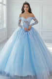 Sky Blue Ball Gown Long Sleeves Princess Quinceanera Dress with Lace