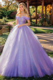 Sparkly Lilac Ball Gown Tulle Maxi Quinceanera Dress with Sequins