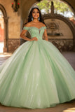 Glitter Light Green Ball Gown Tulle Maxi Quinceanera Dress with Sequins