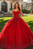 Glitter Red Ball Gown Princess Sweetheart Maxi Quinceanera Dress