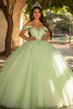 Glitter Light Green Tulle Ball Gown Maxi Quinceanera Dress with Sequins