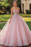 Pink Sweetheart Princess Ball Gown Maxi Tulle Quinceanera Dress with Lace