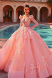 Pink Ball Gown Princess Tulle Quinceanera Dress with Long Sleeves
