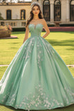 Sage Green Princess Sweetheart Maxi Quinceanera Dress with Appliques