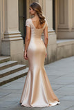 Mermaid Maxi Champagne Satin Mother of the Bride Dress with Lace