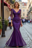Maxi Plum Lace Mermaid V-Neck Mother of the Bride Dress with Sleeves