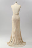 Sparkly Halter Apricot Sequin Mermaid Backless Long Prom Dress