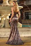 Coffee Leopard Corset Mermaid Sweetheart Long Prom Dress with Slit