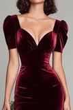 Elegant Burgundy Velvet Sheath Long Holiday Party Dress with Sleeves