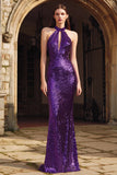 Sparkly Purple Mermaid Sequin Long Holiday Party Dress