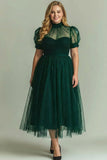 Black Long High Neck Plus Size A Line Formal Dress with Sleeves