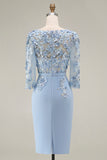 Dusty Rose Midi Bodycon Floral Mother of the Bride Dress with Sleeves