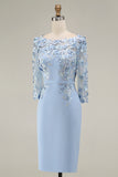 Dusty Rose Midi Bodycon Floral Mother of the Bride Dress with Sleeves