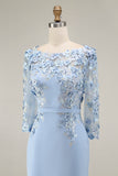 Dusty Rose Midi Bodycon Floral Mother of the Bride Dress with Sleeves