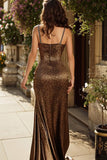 Sparkly Brown Leopard Print Long Mermaid Prom Dress with Beading