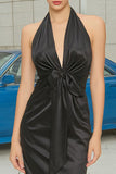 Halter Neck Sheath Ruched Long Black Tie Dress with Bow
