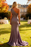 Dusk One Shoulder Mermaid Ruched Chiffon Long Wedding Guest Dress