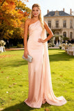 Pink Mermaid One Shoulder Long Satin Wedding Guest Dress with Cape