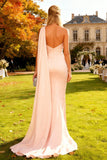 Pink Mermaid One Shoulder Long Satin Wedding Guest Dress with Cape