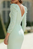 Mint Green Pleated V-Neck Mermaid Maxi Mother of the Bride Dress