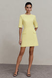 Light Yellow Crew Neck Short Sleeves Work Dress