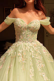Dusty Sage Tulle Ball Gown Long Quinceanera Dress with Lace