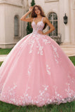 Floral Pink Tulle Ball Gown Long Quinceanera Dress with Lace Applique