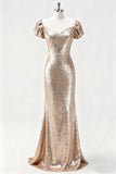 Champagne Mermaid Long Sequin Holiday Party Dress