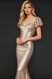 Champagne Mermaid Long Sequin Holiday Party Dress