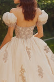Princess Blush Ball Gown Puff Sleeves Tulle Quinceañera Dress with Appliques
