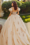Princess Blush Ball Gown Puff Sleeves Tulle Quinceañera Dress with Appliques