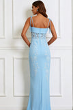 Floral Blue Spaghetti Straps Maxi Corset Prom Dress