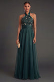 Halter Neck A Line Floral Appliqued Backless Long Formal Dress