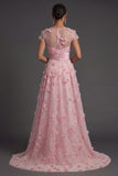 A Line Pink Floral Illusion Neck Appliqued Long Formal Dress