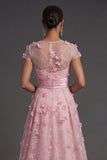 A Line Pink Floral Illusion Neck Appliqued Long Formal Dress