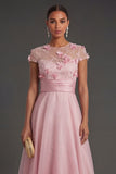 A Line Pink Floral Appliqued Long Illusion Neck Formal Dress